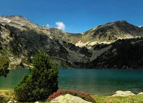 Camping La Forêt, 4* - 39