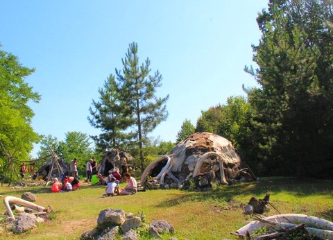 Flower Camping L'Abri-Côtier, 3* - 289