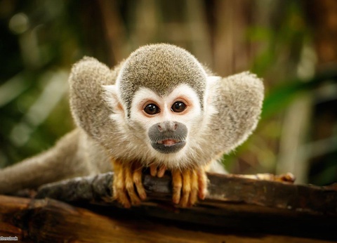 Circuit Des Andes d'Equateur aux îles des Galapagos - 3