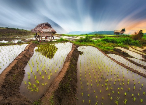 Circuit Richesses et traditions de Thaïlande + extension découverte du sud - 11