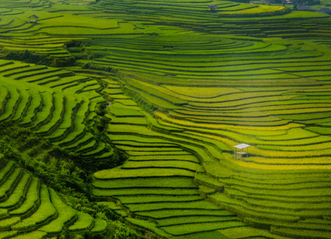 Circuit Lotus du Vietnam - 14