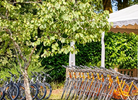 Camping Les Jardins du Morbihan, 4* - 36