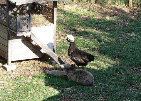 Camping Aux Portes Des Mille Sources, 3* - 13