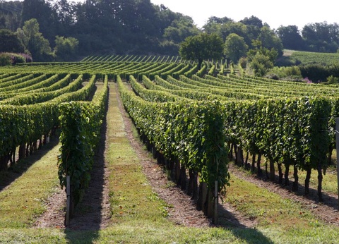 Camping Le Pressoir, 4* - 21