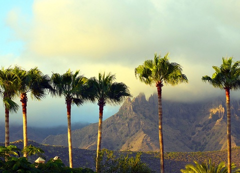 Hôtel Ona Alborada 3* by Ôvoyages - 13