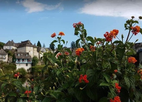 Camping Le Saulou, 3* - 11