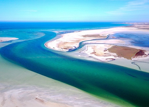 Hôtel Plein Vent Sélection Eden Star 4* - 19