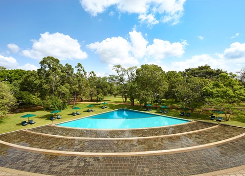 Circuit L'odyssée sri lankaise : l'île aux mille visages - 20