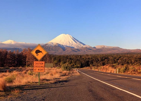 La Nouvelle-Zélande et l'Australie - 6