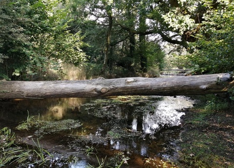 Camping de Kerisole 3* - 21