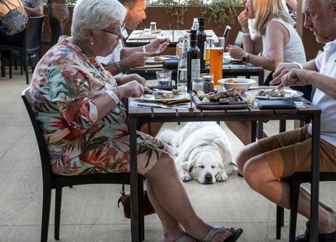 hu Firenze Camping in Town - 50