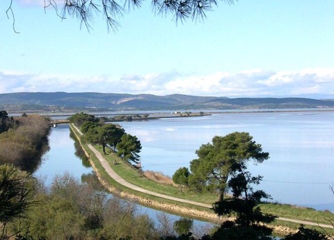 Camping Le Fun, 4* - 63