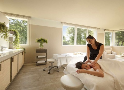 Détente absolue avec accès au spa, modelage et dîner, à chantilly - 4* - 15