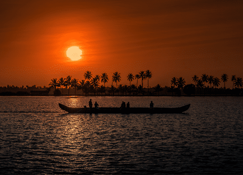 Circuit Couleurs de l'Inde du Sud : Temples, thé et traditions - 6