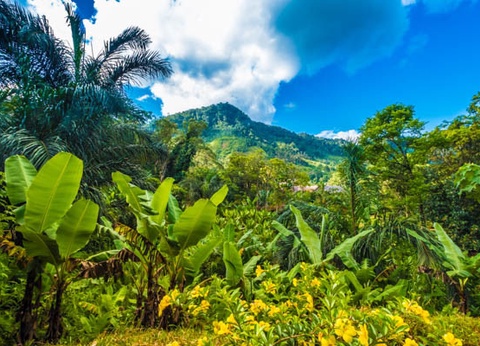 Circuit Intense Madagascar le long de la Route Nationale 7 - 13