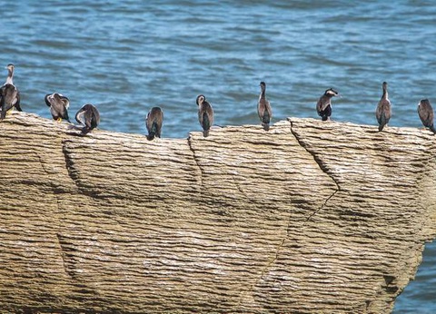 Circuit Fjords et Maoris - 23