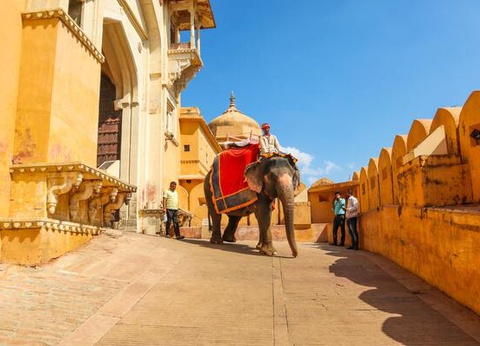 Circuit Sur les pas des Maharajas et le Népal - 14