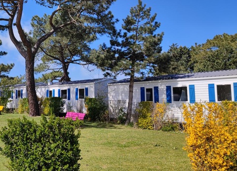 Camping Paradis Les Galets de la Mollière, 3* - 13