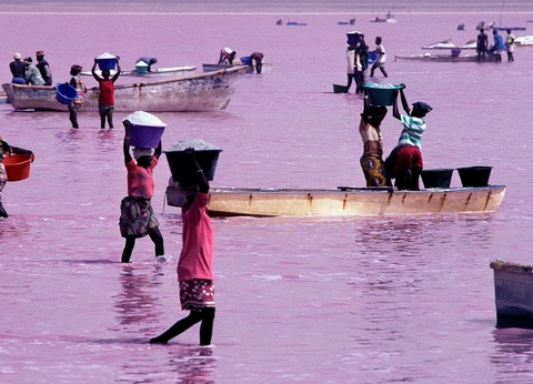 Circuit Le parfum du Saloum - 6