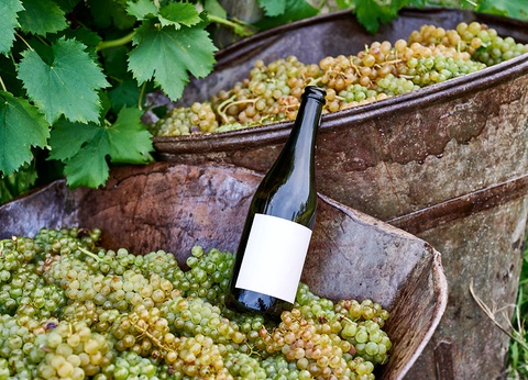 Autotour l'Essentiel de la Toscane 4* - 11