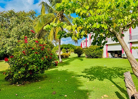 Résidence hôtelière Résidence Le Vallon Guadeloupe - 14