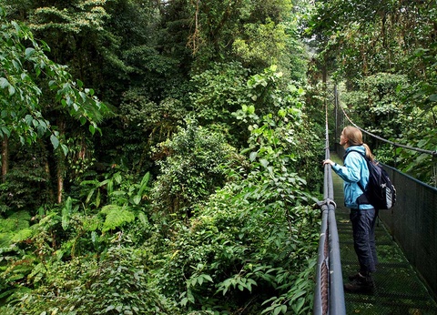Circuit Découverte et aventure au Costa Rica - 14