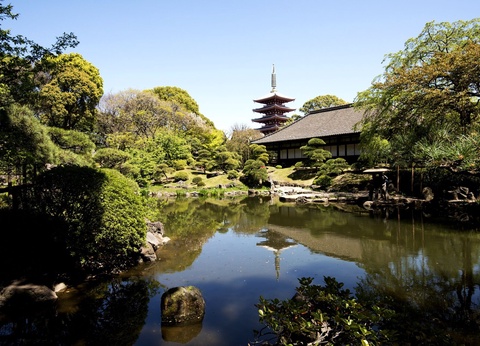 Séjour Tokyo avec Parc d’attraction au choix - 8