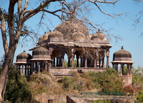 Circuit Sur la route du Taj Mahal au Tigres de Ranthambore - 25