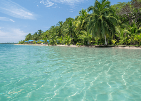 Circuit Dans le Sillage des Corsaires : De Panama à Bocas del Toro - 43