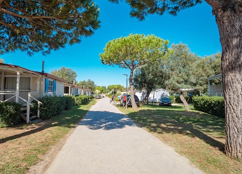 Club del Sole Vigna sul Mar Family Collection, 4* - 48