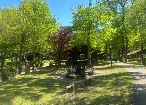 Camping Relais du Léman Pausado, 3* - 39