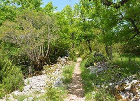 Flower Camping De la Plage, 4* - 63