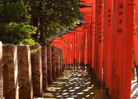 Circuit Splendeurs du Japon et Extension Tokyo - 18