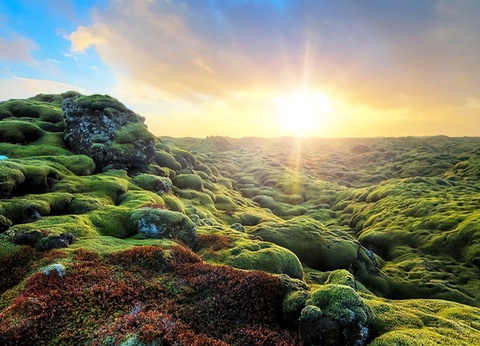 City Break 4 nuits - A la recherche du soleil de minuit - 11