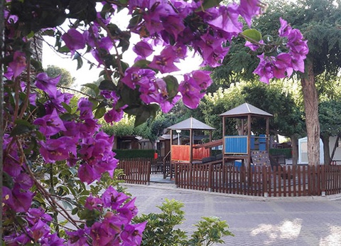 Camping L'Alqueria, 3* - 13