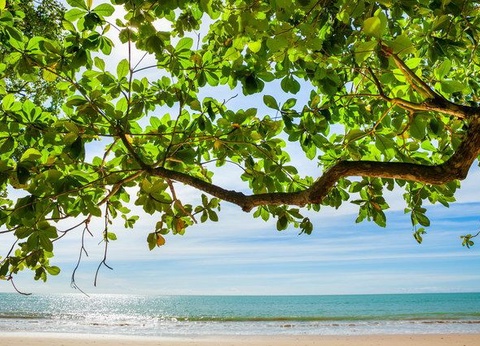 Circuit Privé Bonjour Thailande (cat. sup.) + séjour Khao Lak 4* - 25