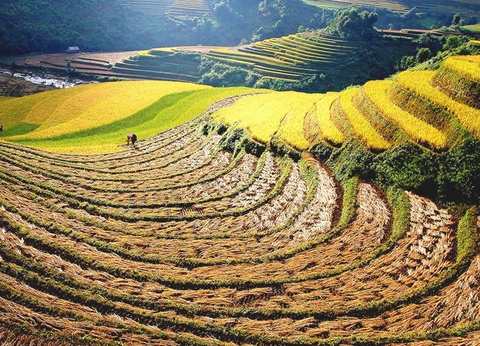 Circuit Beauté du Nord Vietnam - 9