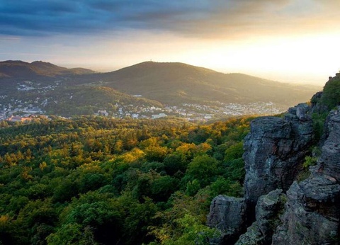 Design et confort dans un top wellnesshotel au coeur de la Forêt-Noire - 3* - 12