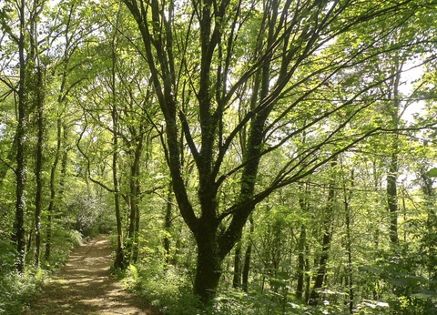 Camping Ushuaïa Villages de Pont Calleck, 3* - 48