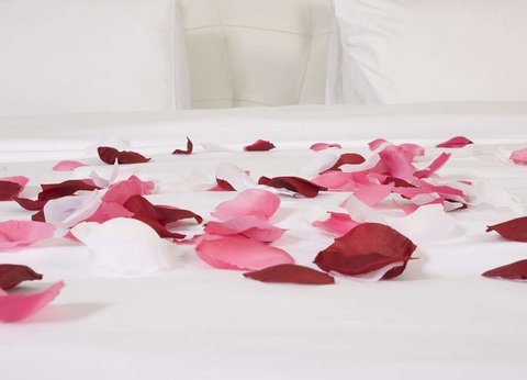 Weekend Romantique dans un village provençal aux portes de Cannes - 3* - 35