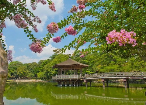 CIRCUIT LE JAPON EN LIBERTE ET TRADITIONS DU JAPON RURAL - 11