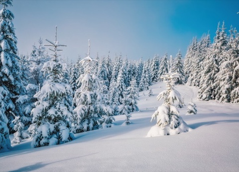 Club Jumbo Tankavaara Gold Village (activités incluses) - 18