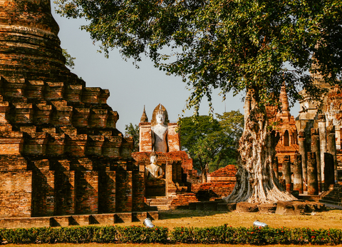 Circuit Orchidées, de Bangkok au Triangle d'Or - 3