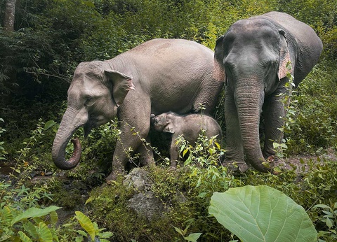 Circuit Une mosaïque d'ethnies - 12