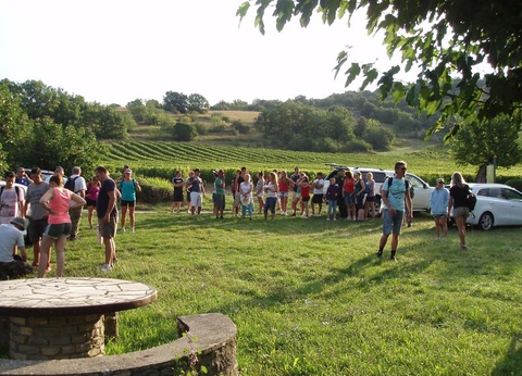 Camping Le Sous Bois, 4* - 46