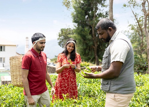 Circuit Lotus du Sri Lanka - 7