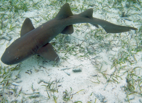 Circuit Guatemala, Sur la Piste du Quetzal et Belize - 39