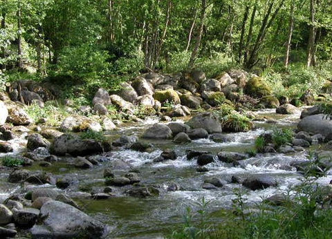 Camping Village de Chalets Le Pas de l'Ours, 3* - 11