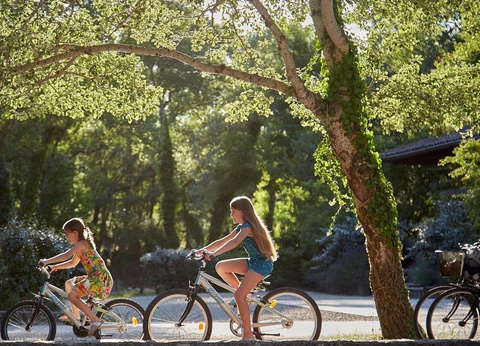 Camping Verdon Parc 4* - 13