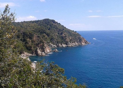 Camping Cala Llevado, 4* - 72